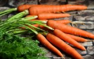 beneficii dieta morcovi